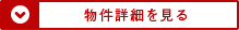 詳細を見る